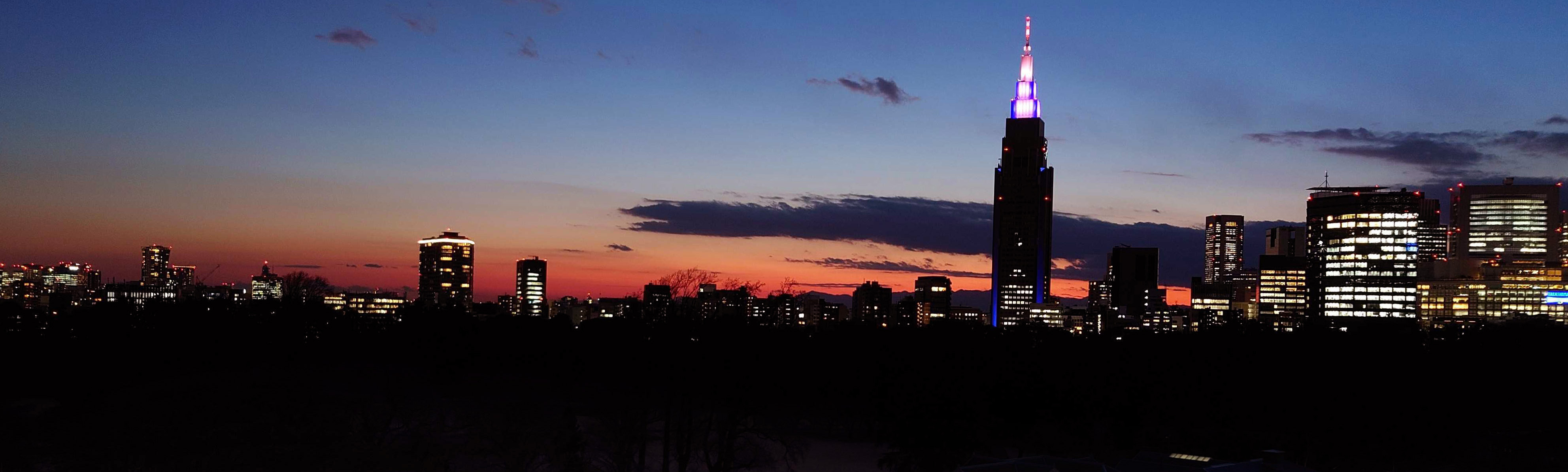 Shinjuku Gyoen Night