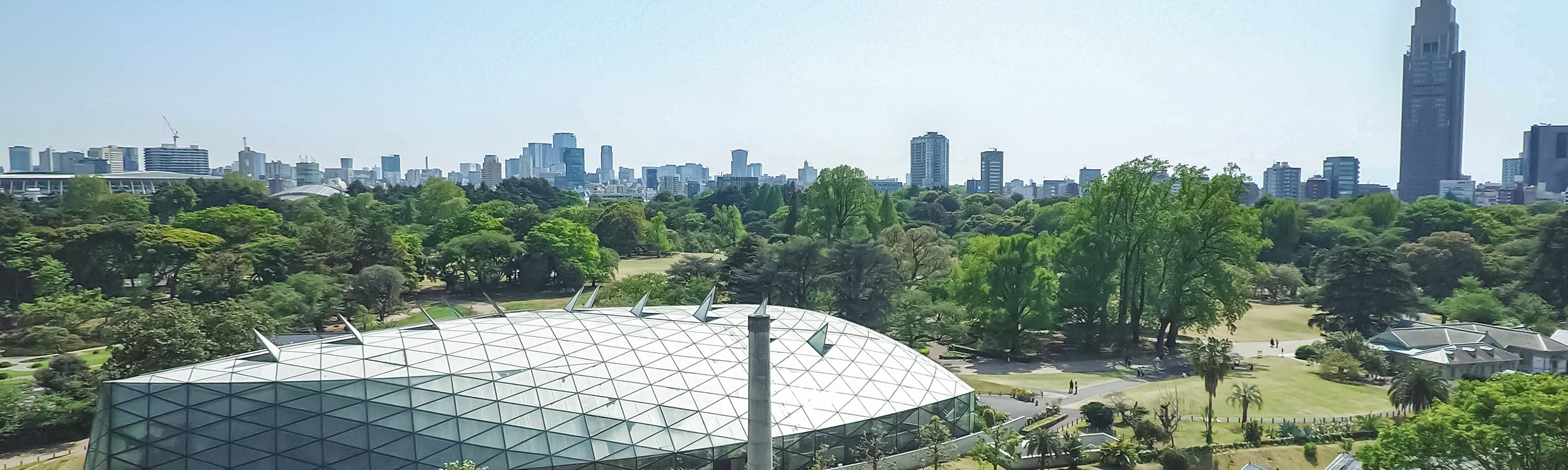Shinjuku Gyoen Spring